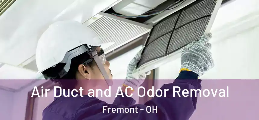 Air Duct and AC Odor Removal Fremont - OH