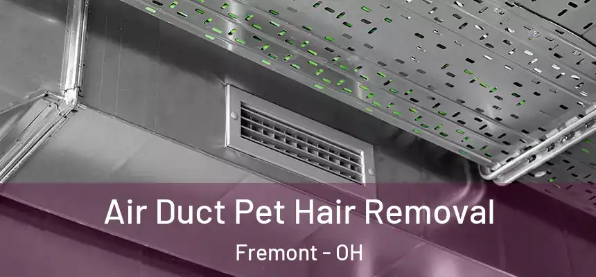Air Duct Pet Hair Removal Fremont - OH