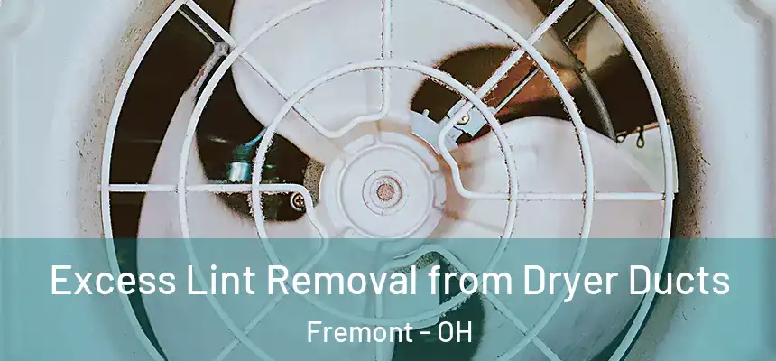 Excess Lint Removal from Dryer Ducts Fremont - OH
