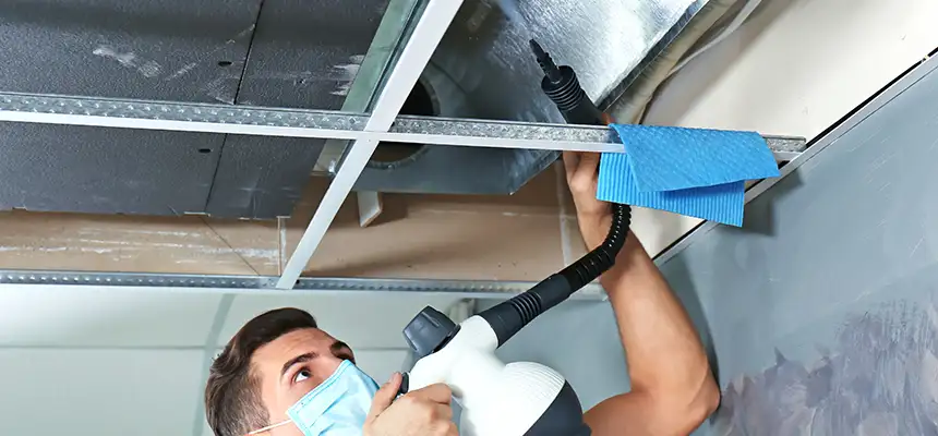 Our Air Duct Rodent Removal Services in Fremont, OH