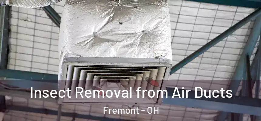  Insect Removal from Air Ducts Fremont - OH