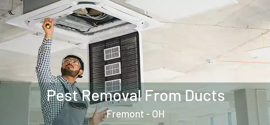  Pest Removal From Ducts Fremont - OH
