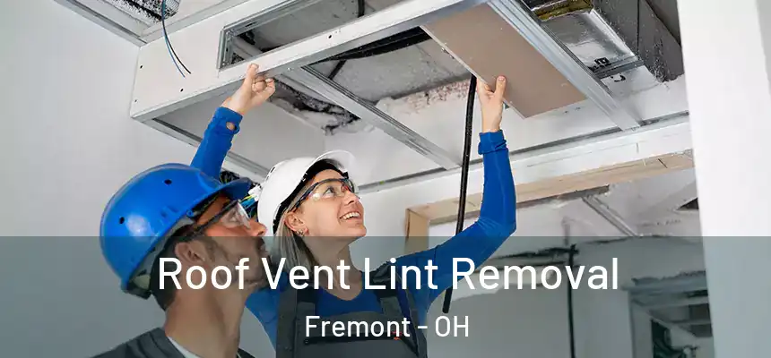 Roof Vent Lint Removal Fremont - OH