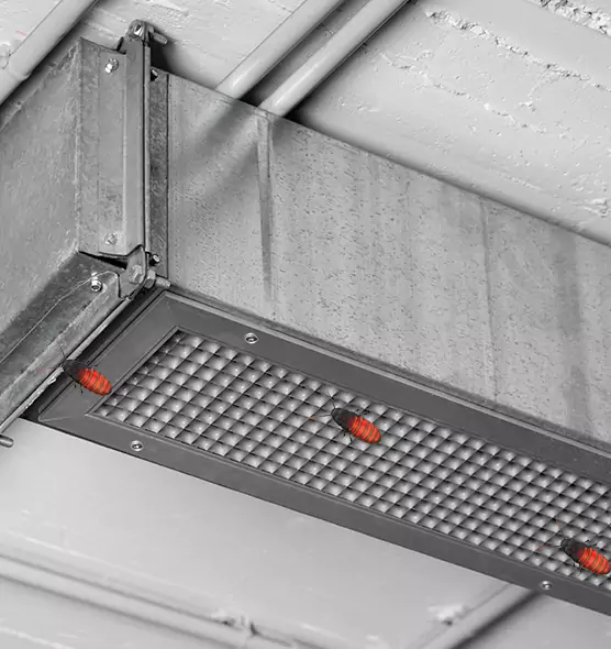 About Air Duct Cockroach Removal in Fremont, OH