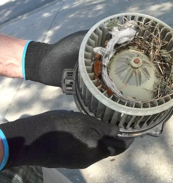 About Air Duct Mice Removal in Fremont, OH