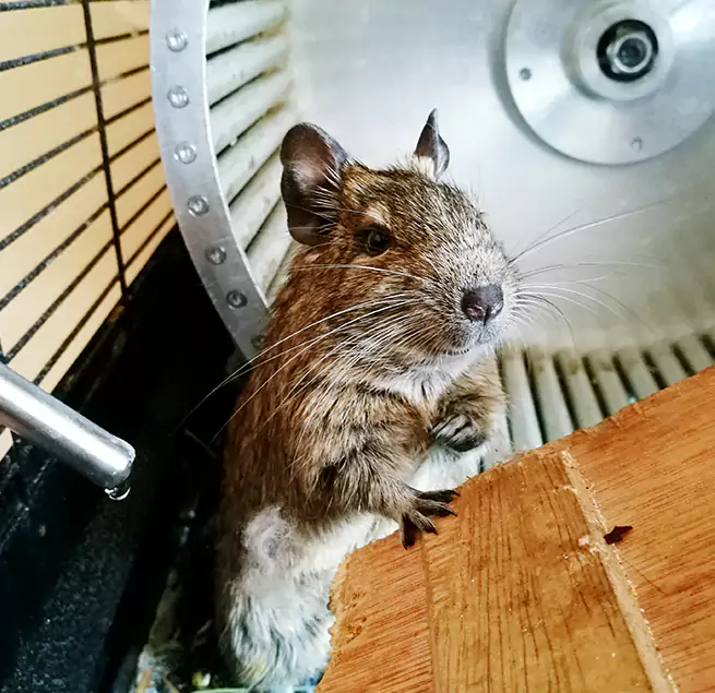 Why Homeowners & Businesses Trust Us Fremont, OH?